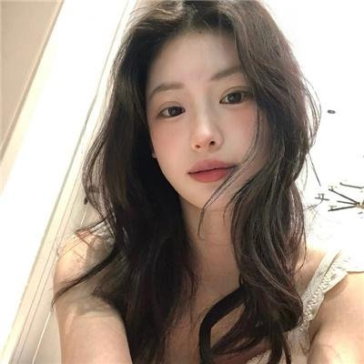救援狗