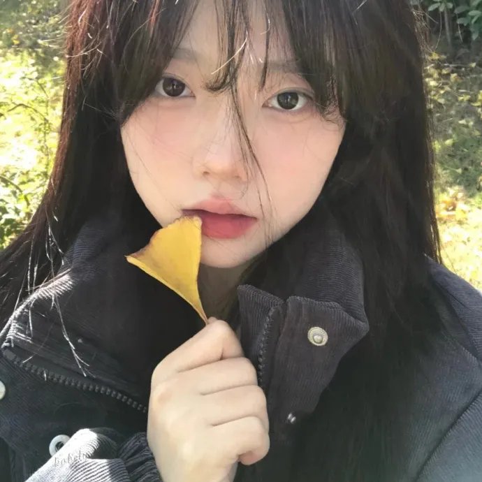 四季情粤语